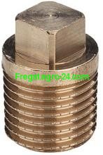 Заглушка 1" Нар/р (бронза) ― ЗАПЧАСТИНИ на ДМУ ФРЕГАТ від виробника!    З НАМИ - ЗРУЧНО ТА ВИГІДНО!